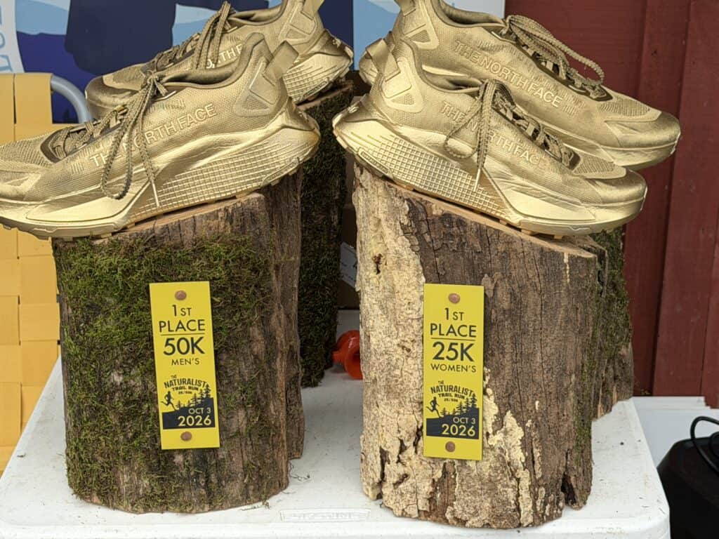 Pair of beige running shoes on wooden logs with race medals.