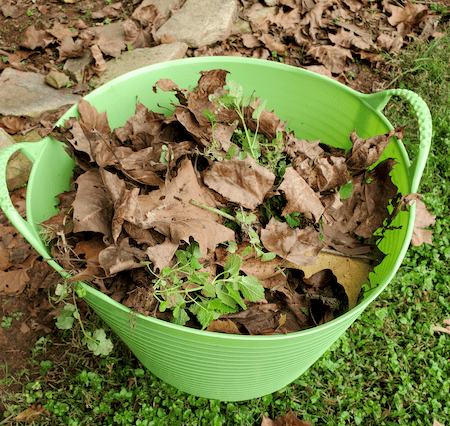Compost bin filled with dry leaves and green plant material for composting.