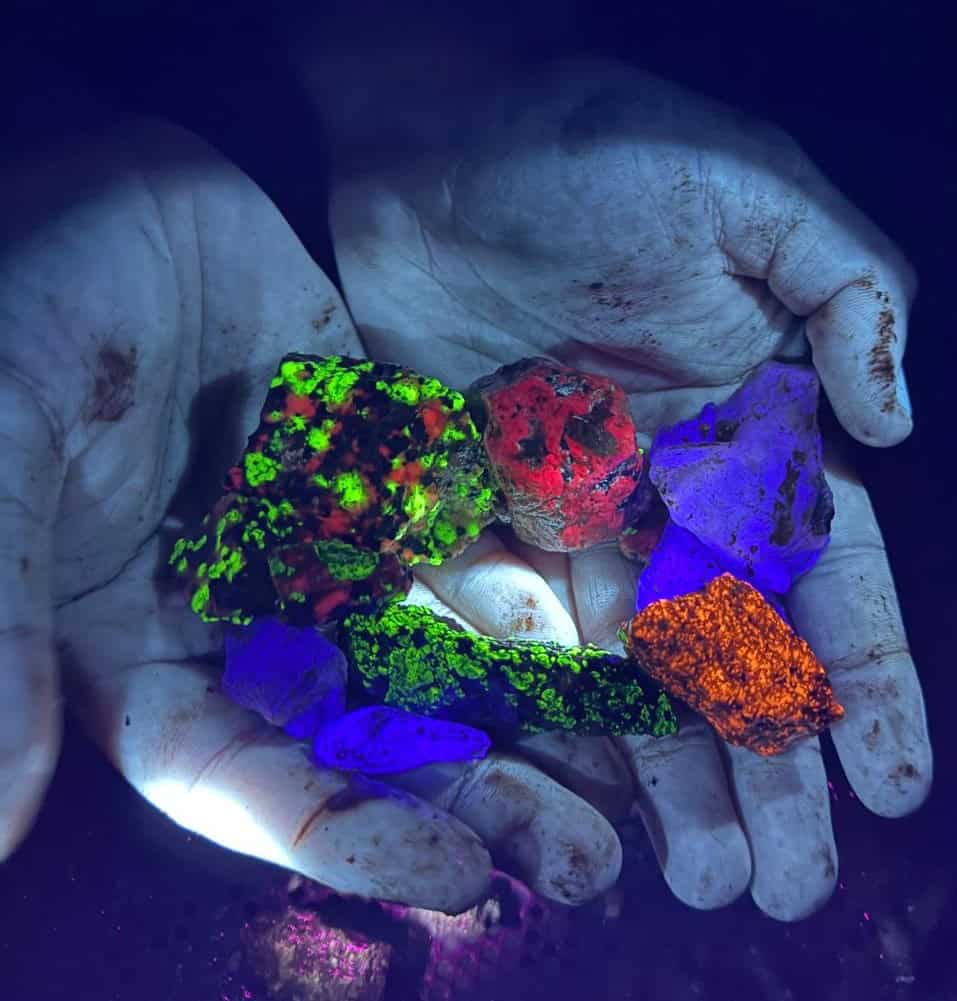 Glowing fluorescent rocks held in hand under black light at night.