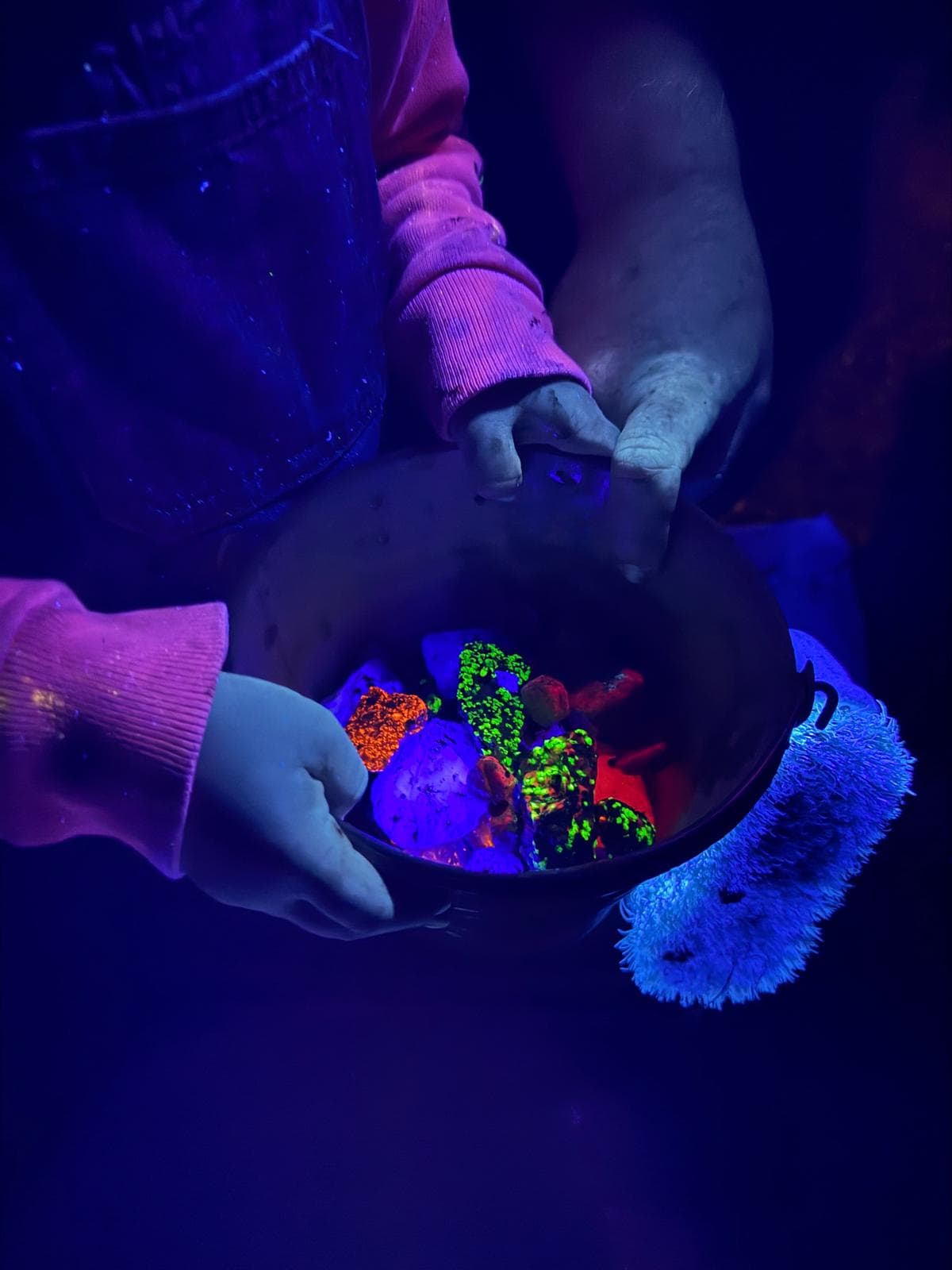 Black Light Mining Night